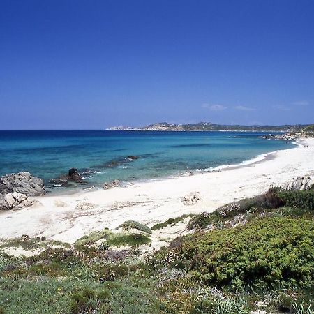 Rena Garden Apartments Santa Teresa Gallura Zewnętrze zdjęcie