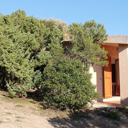 Rena Garden Apartments Santa Teresa Gallura Zewnętrze zdjęcie
