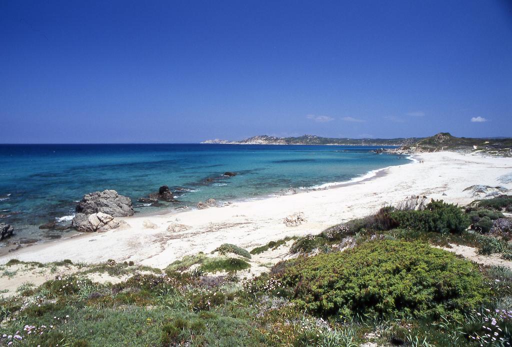 Rena Garden Apartments Santa Teresa Gallura Zewnętrze zdjęcie