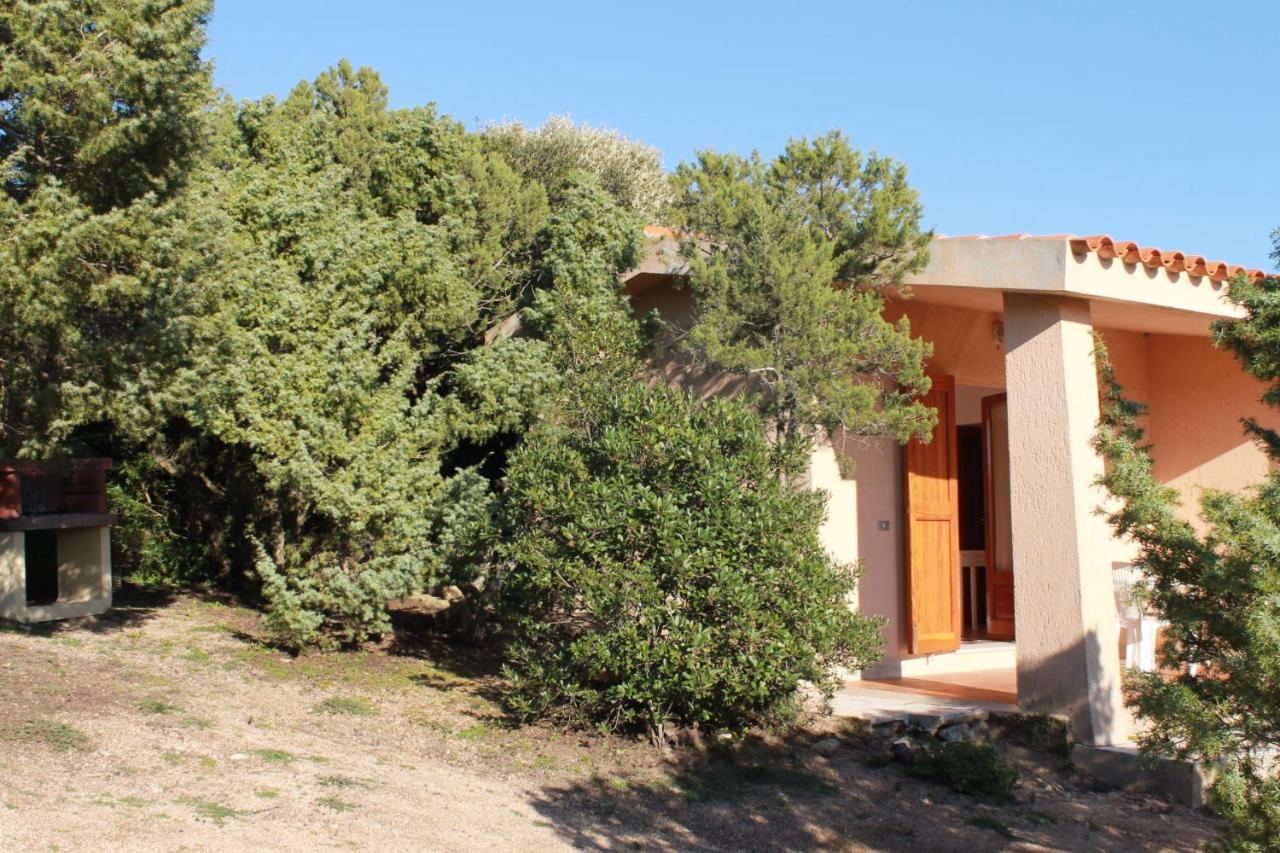 Rena Garden Apartments Santa Teresa Gallura Zewnętrze zdjęcie